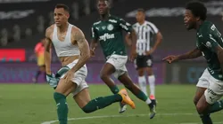 Palmeiras é o primeiro time brasileiro a se garantir na Libertadores 2021