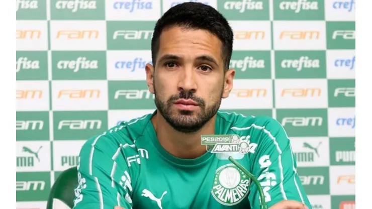 César Greco - Agência Palmeiras