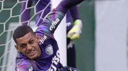 Foto: César Greco/Ag. Palmeiras