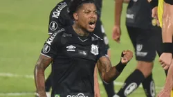 Foto: Ivan Storti/Santos FC/Divulgação