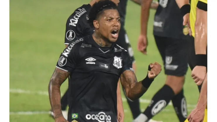 Foto: Ivan Storti/Santos FC/Divulgação