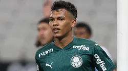 Cesar Greco/Palmeiras