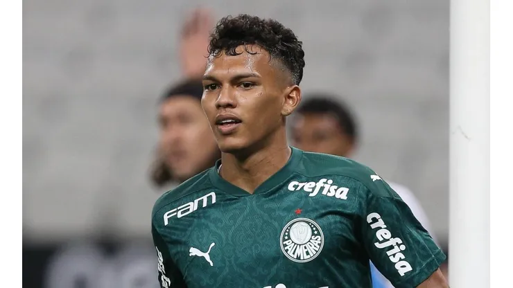Cesar Greco/Palmeiras