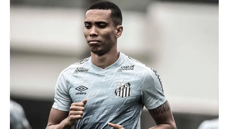 Foto: Ivan Storti/Santos FC
