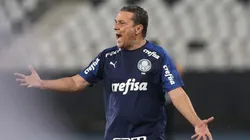 (Foto: Cesar Greco/Palmeiras)