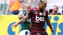 Foto: Cesar Greco/Palmeiras.