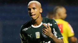 Cesar Greco/Palmeiras