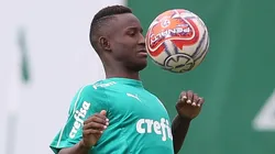 Cesar Greco/Palmeiras