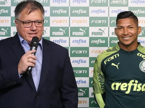 Botafogo dá aula de direito em Palmeiras e Athletico-PR em caso Rony