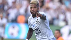 Foto: Ivan Storti/Santos FC