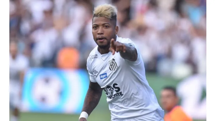 Foto: Ivan Storti/Santos FC