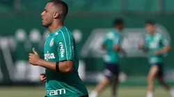 Foto: Divulgação/Palmeiras