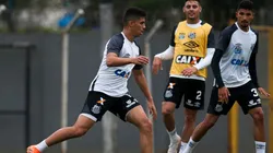 Foto: Ivan Storti/Santos FC