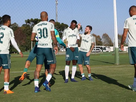 Medalhão palmeirense deve jogar contra a Ferroviária