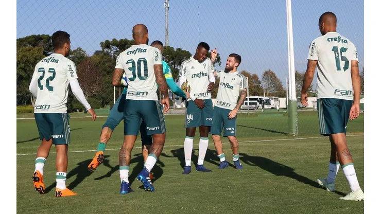 Medalhão palmeirense deve jogar contra a Ferroviária