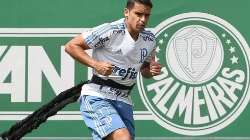 Cesar Greco/Palmeiras