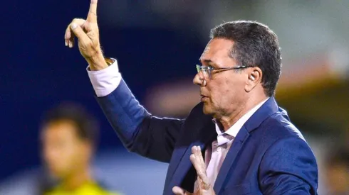 Luxemburgo pede contratação de volante Gregore, do Bahia