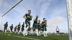 Cesar Greco/Palmeiras