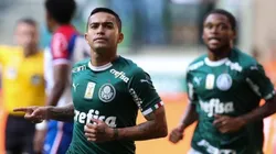 Foto: Cesar Greco/Palmeiras/Divulgação