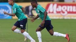 Foto/Reprodução: Palmeiras