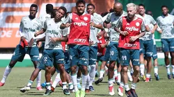 Divulgação/Palmeiras