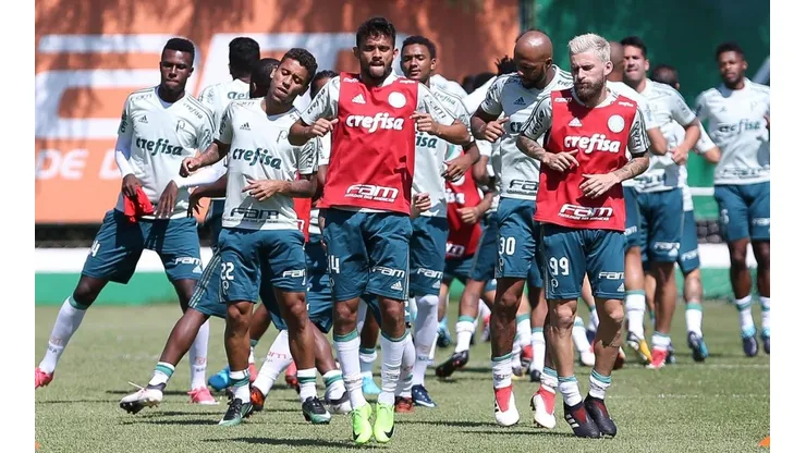 Divulgação/Palmeiras