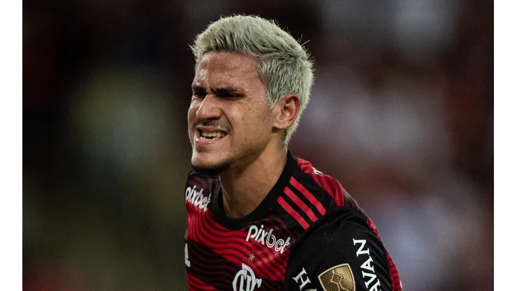 - Pedro Guilherme