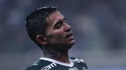 - Dudu, ídolo palmeirense