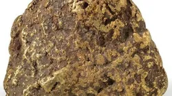 Pepita tem mais de 20kg. Foto: Reprodução: DGPC/ADF Luísa Oliveira/tesouroreal.pt