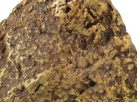 Museu de Portugal expõe peça de ouro de 20kg extraída do Brasil