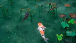 Espécie de peixe raro foi encontrado na Rússia