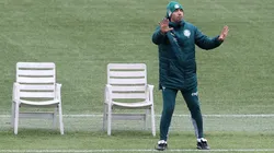 Foto: Cesar Greco/ Palmeiras