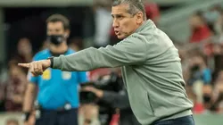 Agif/Robson Mafra - Jorginho tem reforço no Atlético-GO para duelo importante contra Avaí na Série A