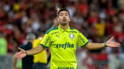 Abel Ferreira no comando do Palmeiras (Foto: AGIF/AGIF)