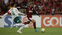 AGIF/ Palmeiras x Flamengo tem confrontos equilibrados e uma rivalidade alta nos últimos anos.