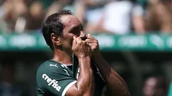 Edmundo 'saí da casinha' e afirma que defensor do Palmeiras é 'injustiçado' por torcedores