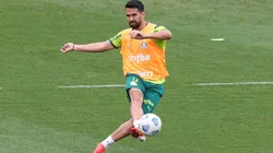 Cesar Greco/Palmeiras - Luan deve voltar ao time titular do Palmeiras contra o Galo
