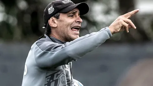 Foto: Ivan Storti/Santos FC