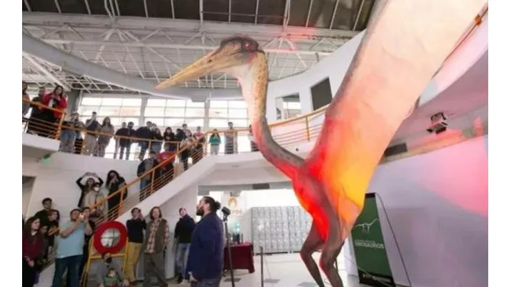 Pterossauros viveram entre 146 milhões e 66 milhões de anos. Foto: Reprodução/MEF