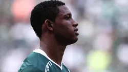 Foto: Ettore Chiereguini/AGIF - Além de Danilo, outra joia palmeirense está no radar do futebol europeu