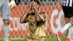 Foto: André Yanckous/AGIF