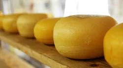 Moradores se incomodaram com o odor que sai de fábrica de queijos