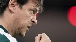 Jorge Rodrigues/AGIF. Fernando Diniz avalia desempenho do Fluminense como dentro do esperado