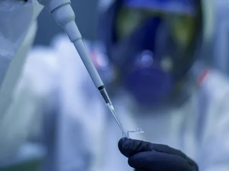 Covid-19: Média móvel de mortes segue em estabilidade e ONU alerta: "Ainda não acabou"