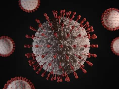 Covid-19: Brasil registra 35 mortes nas últimas 24 horas pela doença