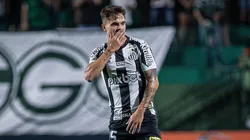 Foto: Isabela Azine/AGIF | Zanocelo está emprestado ao Peixe até maio de 2023