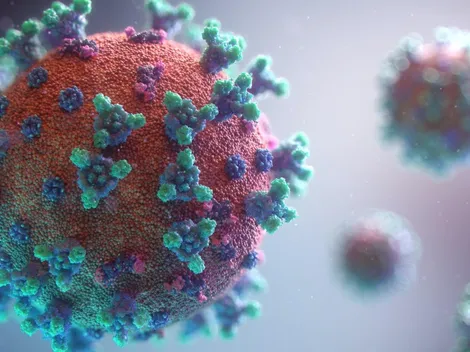 Covid-19: vírus volta a ser dominante nas internações com síndromes respiratórias, revela Fiocruz