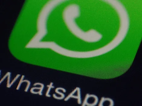 WhatsApp revela novidade e empresas terão versão paga