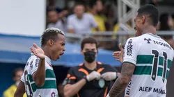 Foto: Robson Mafra/AGIF - Dupla de ataque do Coxa liga o alerta para seguir na titularidade