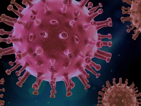 Covid-19: média móvel de vítimas no Brasil volta a subir após duas semanas de estabilidade